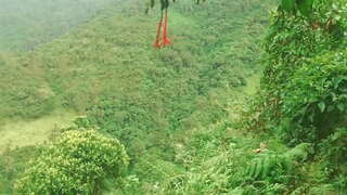 Colombia katika Msitu Kutoa Lugha na Fucked na Wageni Ngono kwa Ajili ya kupatiwa Msaada wa Kifedha.