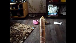 الساخنة الحمار اللعين