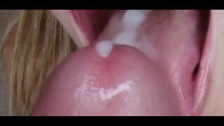 Fiksatsiya: Sekin Gipno Xo'rozga Sig'inish Bo'yicha Murabbiy 3