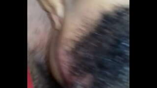 Għall-annimal aflor