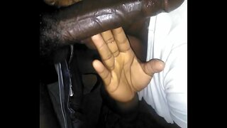 האַלבער טאָג קאָפּ אַוועק דער סאָפע