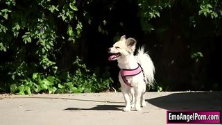 Petite tätowierte Babe fënnt hiren Hond ze hirem Noper Besëtz.Hire Noper wëll eng Belounung, Si ewechhuelen Hir Kleedung an Se dann Kielen Noper bigcock.An dann fickt ären Noper hir Muschi an hiren Arsch déif an hart, bis hien op si abspritzt.